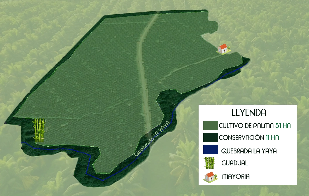 Plano La Playa